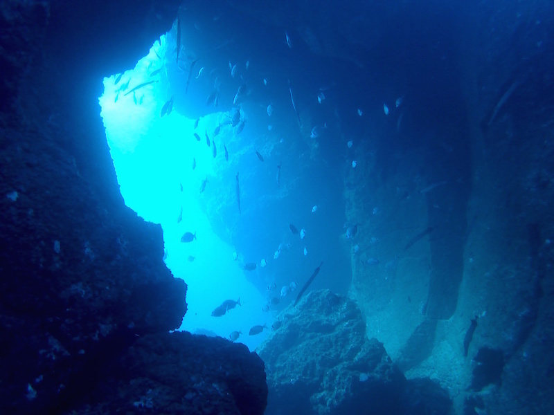 the Arch of El Cabron while diving gran canaria