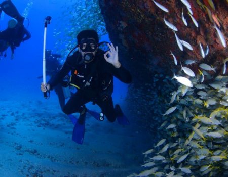 diver with fish playa del ingles